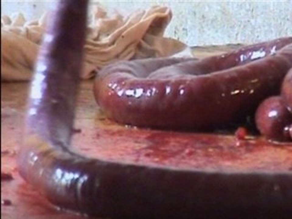 Jurons et charcuteries