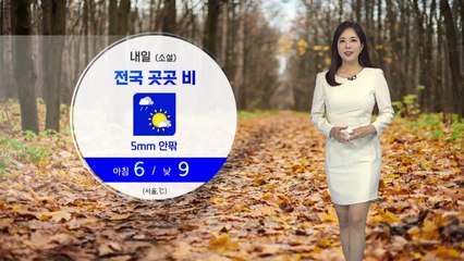 [날씨] 내일 절기 '소설' 눈 대신 비...그친 뒤 쌀쌀 / YTN