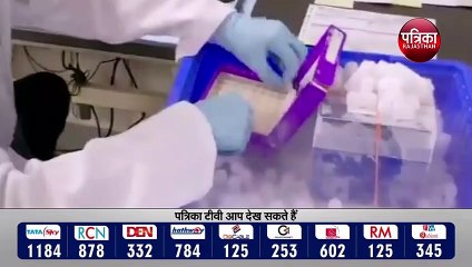 दिसम्बर में मिल जाएगी covid vaccine |  कोरोना वायरस वैक्सीन को इमर्जेंसी में इस्तेमाल की इजाजत