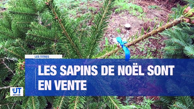 À LA UNE : les sapins de Noël débarquent dans les jardineries / l'Etat investit 3 millions d'€ pour son plan de relance dans la Loire / Les tests antigéniques seront-ils stéphanois / L'ensemble orchestral contemporain de Firminy arrive sur les réseaux soc