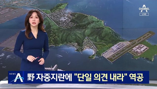 “국민의힘 내부 분열”…민주당, 가덕도 신공항 역공