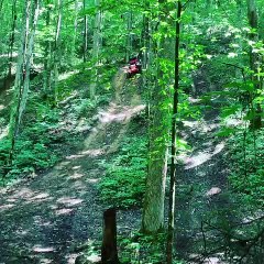 Razor Rolls Down Hill End Over End
