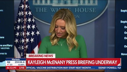 Nov. 20 McEnany clashes with reporters over pandemic, voter issues