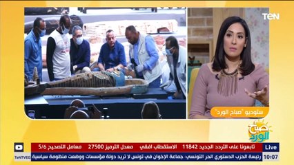 باحث أثري: "توم وجيري" .. أصلة مصري من أيام الفراعنة