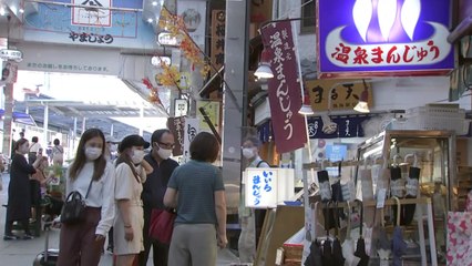 日, 여행 장려책 뒤늦게 수정...방역 대응책은 언제? / YTN