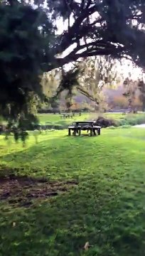 Blarney Castle and Gardens Cork Ireland Outside