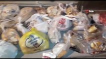 Çöpten Topladıkları Bayat Ekmekleri Sahipsiz Köpeklere Aş Ediyorlar