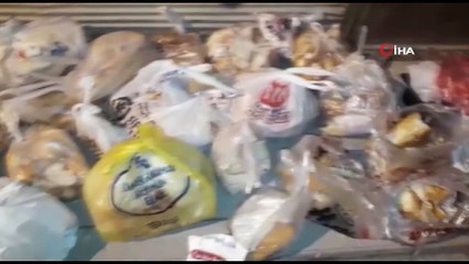 Çöpten Topladıkları Bayat Ekmekleri Sahipsiz Köpeklere Aş Ediyorlar