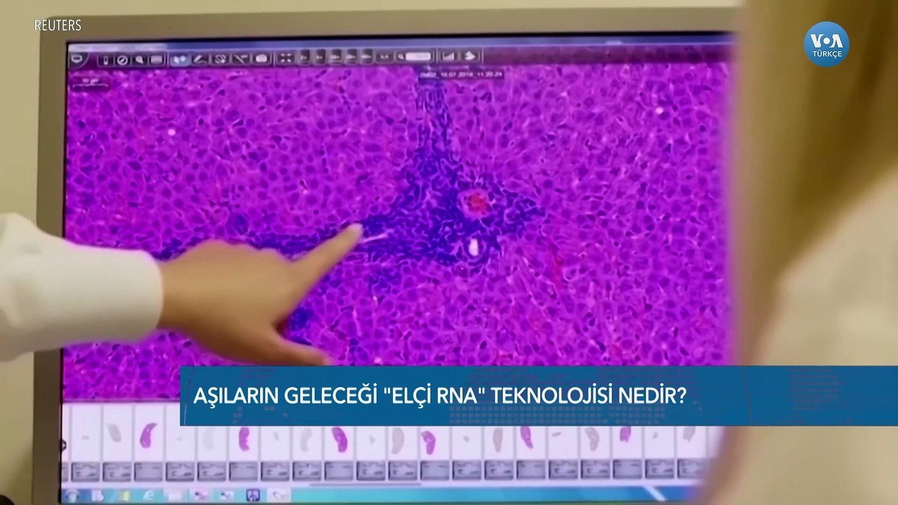 "Elçi RNA Teknolojisi" Nedir?