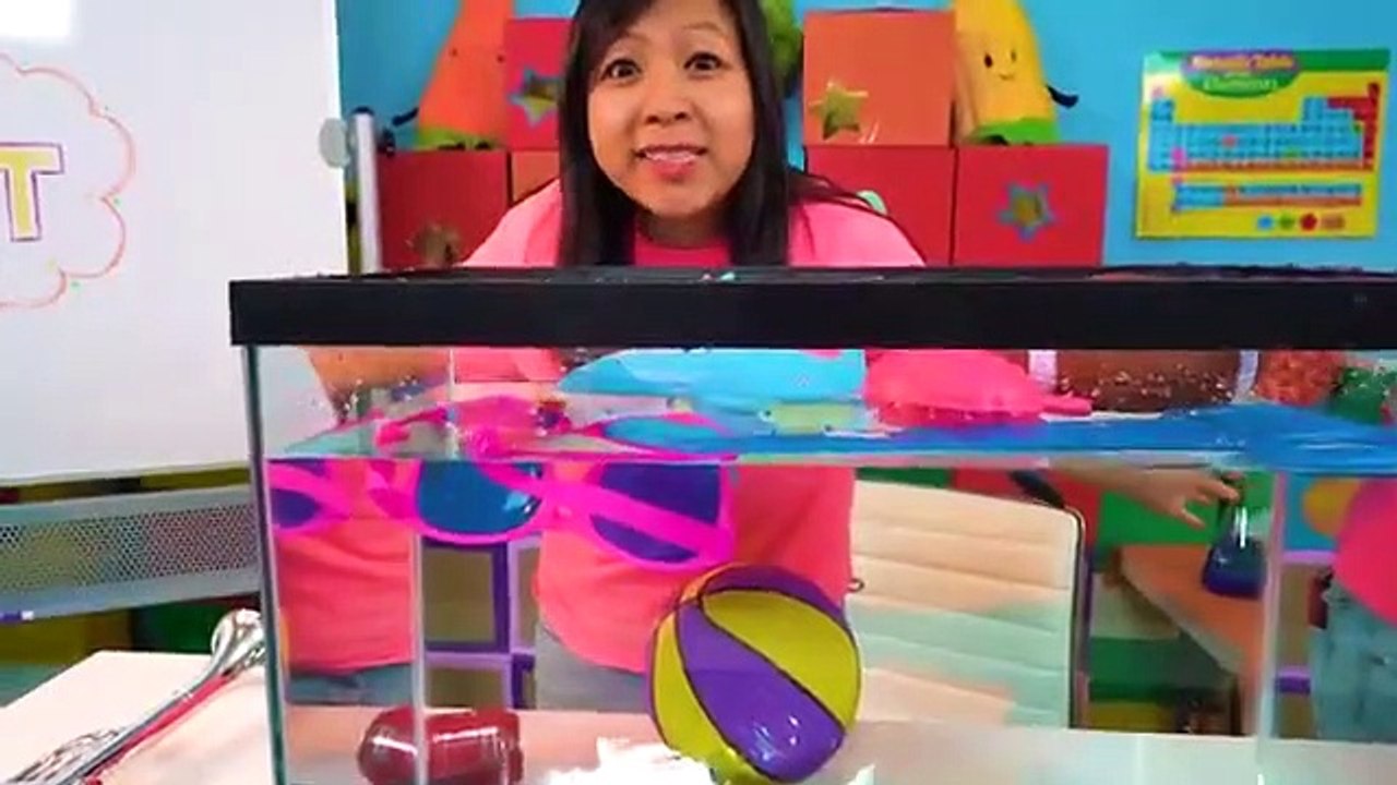 Science Video for Kids learning Sink or Float Experiment
