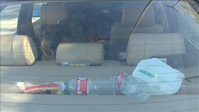 Viven en un coche desde hace 6 semanas