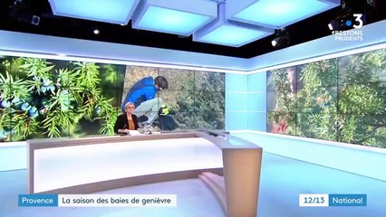 Alpes-de-Haute-Provence : les secrets de fabrication du gin artisanal