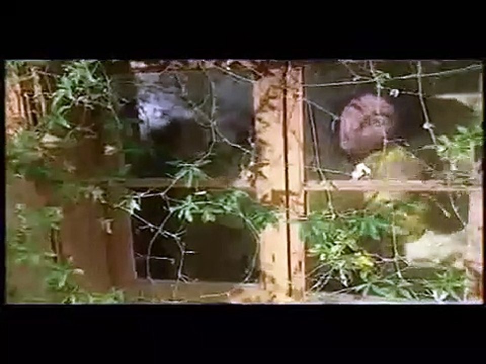 Les Chevaliers du Fiels (2016) L'intégrale des spectacles