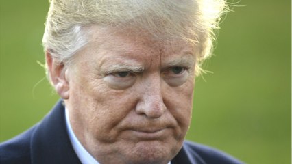 Michigan Voters Sue Trump