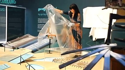 Revamped Australian Museum to reopen next weekend