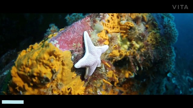 Nature beauty under water world Nature Water fall under water