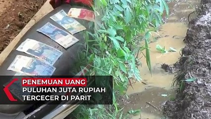 Penemuan Duit Puluhan Juta Berceceran di Parit Batang