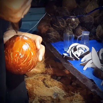 এই লোকগুলোর কাজের দক্ষতা দেখলে আপনি অবাক হবে