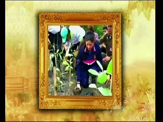 ข่าวในพระราชสำนัก วันอาทิตย์ที่ 22 พฤศจิกายน 2558 (ช่อง 9)