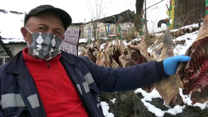 KARS - Kış sofralarını süsleyen kazların kesimi başladı