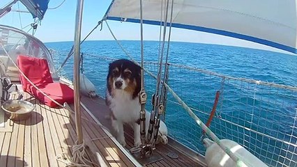 Navigation vers la Corse - esslinger 40'