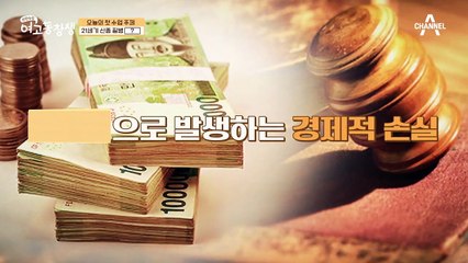21세기 신종 전염병 [비만] 장이 건강해야 비만도 잡는다?