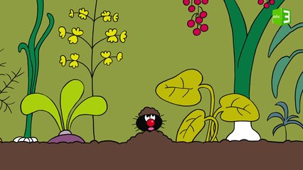 مغامرة فرو في الحديقة