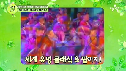 [이만갑 모아보기] 우리나라에서 더 유명했던(?) '현송월' 북한에서는 몰랐다?!