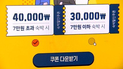 소비쿠폰 잠정 중단...'오락가락' 방역 대책 / YTN