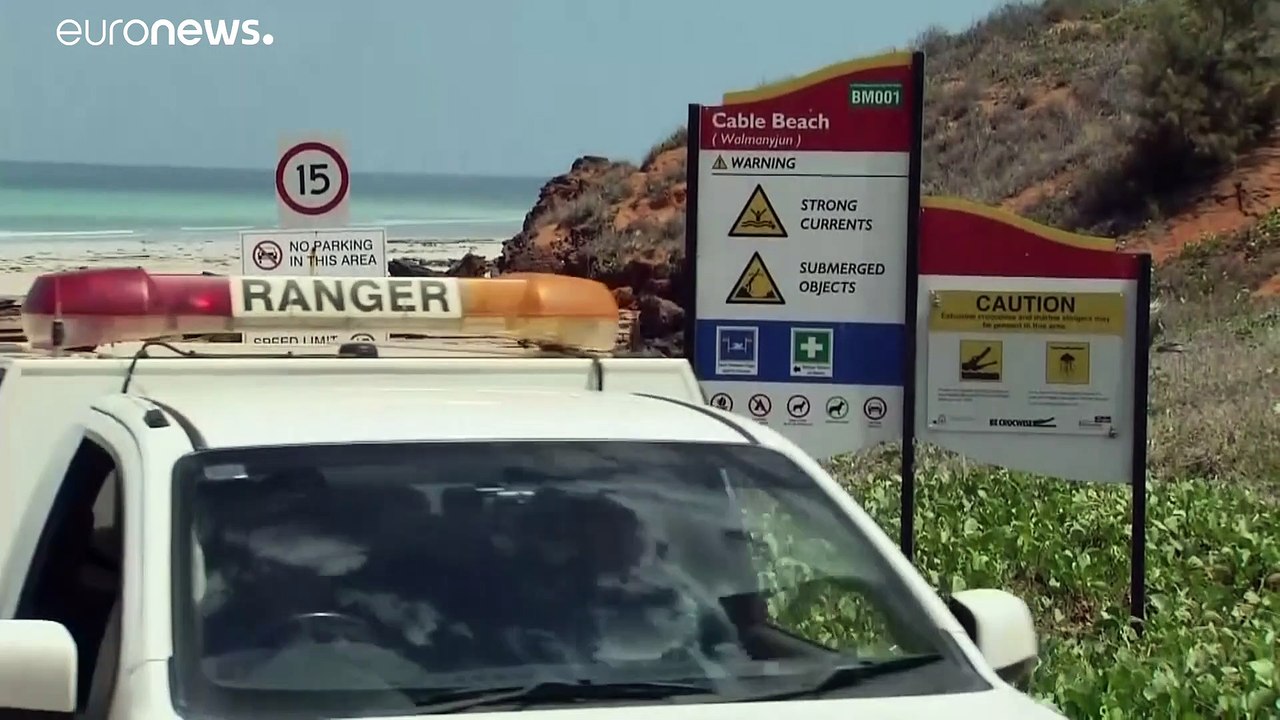 Tödlicher Hai-Angriff in Australien