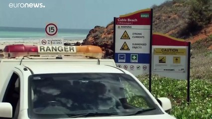 Homem morre após ataque de tubarão quando praticava "bodyboard"