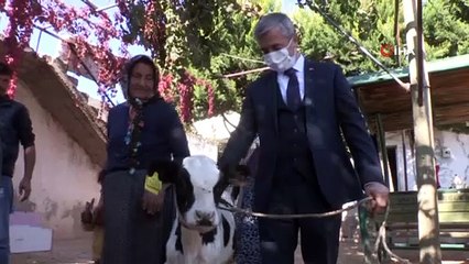 Şahinbey'de hayvan yetiştiricilerine destek sürecek