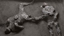 Pompeiideki kazıda efendi ve kölesinin 'neredeyse mükemmel' korunmuş kalıntıları bulundu