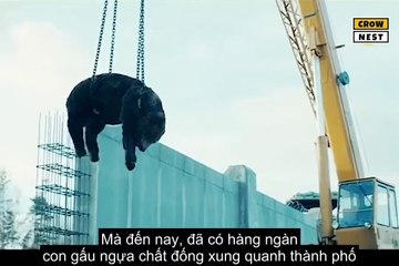 Review Phim  Cuộc Xâm Lược Trái Đất-The Blackout (2019)