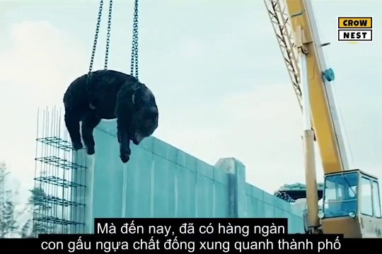Review Phim Cuộc Xâm Lược Trái Đất-The Blackout (2019)