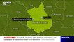 Un élevage de visons contaminé au Covid-19 en France, les 1000 bêtes abattues