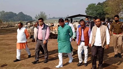 विधायक ने गौआश्रय स्थल का किया निरीक्षण