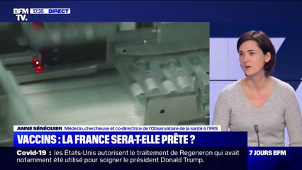 Covid-19: selon la chercheuse Anne Sénéquier, "les deux premiers vaccins n'utilisent pas d'adjuvants"