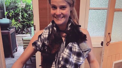 9 Tiernos Animales Exóticos Que Vas a Querer Llevar a Tu Casa