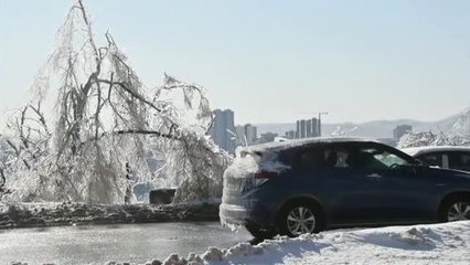 Lluvia helada o engelante, el increíble y peligroso fenómeno que ha congelado una ciudad entera en Rusia