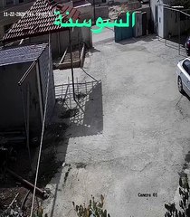 فيديو لكلب يعض طفلا