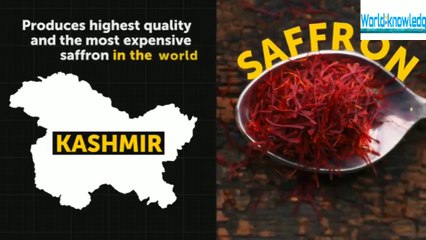 Traveling India,facts indian World knowledge