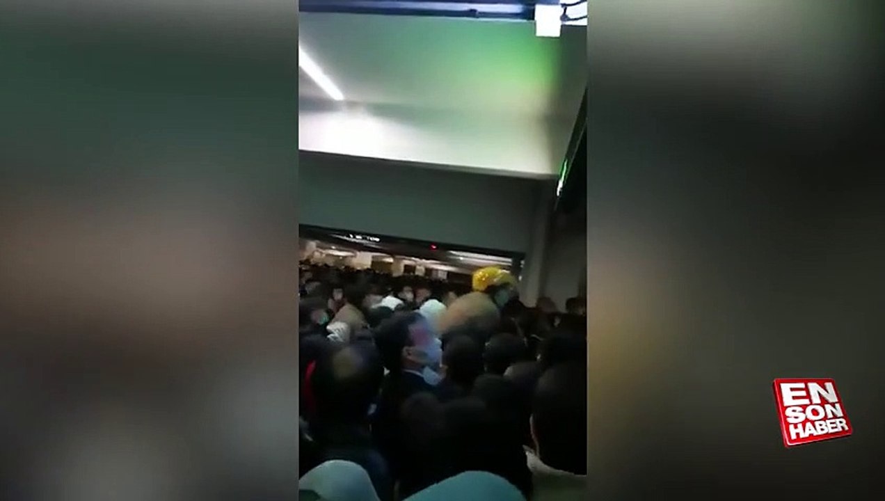 New Virus (Sars) Appears in China Çin'de Yeni Bir virüs çıktı Sars virüsü