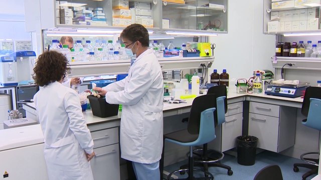 Sánchez anuncia una estrategia única de vacunación para toda España