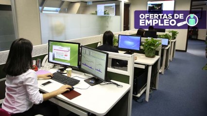 Apúntese a la convocatoria de empleo para personas entre 16 y 35 años de Protalento