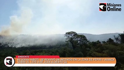 Reserva Yabotí: se reavivó un incendio en la zona de Pepirí y avanza sobre el Lote 8 de Juan Alberto SA