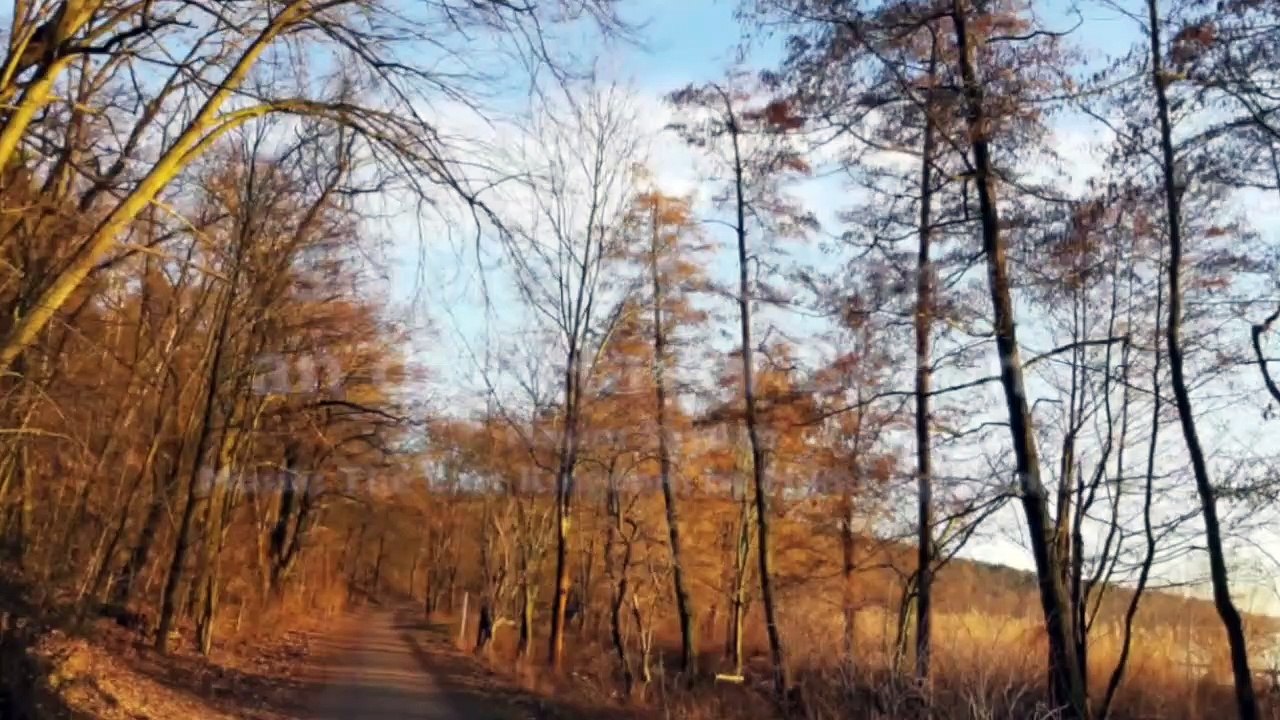 Layaly Ensemle Berlin Were lo (kurdisch)