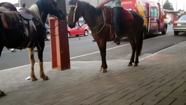 Adolescente fica ferido ao cair de cavalo no Cascavel Velho