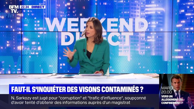 Faut-il s'inquiéter des visons contaminés au Covid-19 ? - 22/11