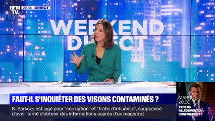 Faut-il s'inquiéter des visons contaminés au Covid-19 ? - 22/11
